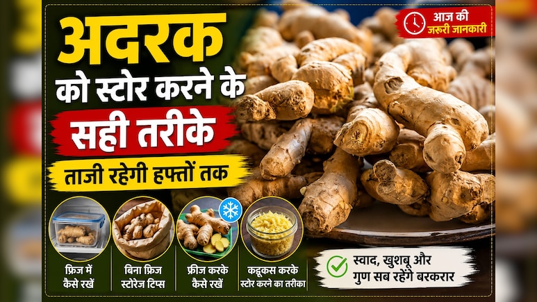 गर्मी में जल्दी सूख जाता है अदरक? अपनाएं ये आसान तरीके, कई हफ्तों तक रहेगा ताजा!