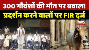 Bhilai में 300 गौवंश मौत मामला! विरोध प्रदर्शन पर 17 लोगों पर FIR