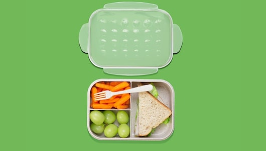 SignoraWare से लेकर VAYA तक के ये हैं टॉप 5 Lunch Box, बच्&zwj;चों की जरूरत को करेंगे पूरा, दाम कर देंगे इंप्रेस