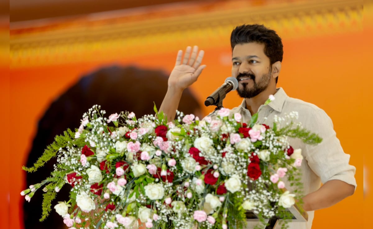 Vijay's TVK Explores Alliances As Party Falls Short Of Majority To Form Government