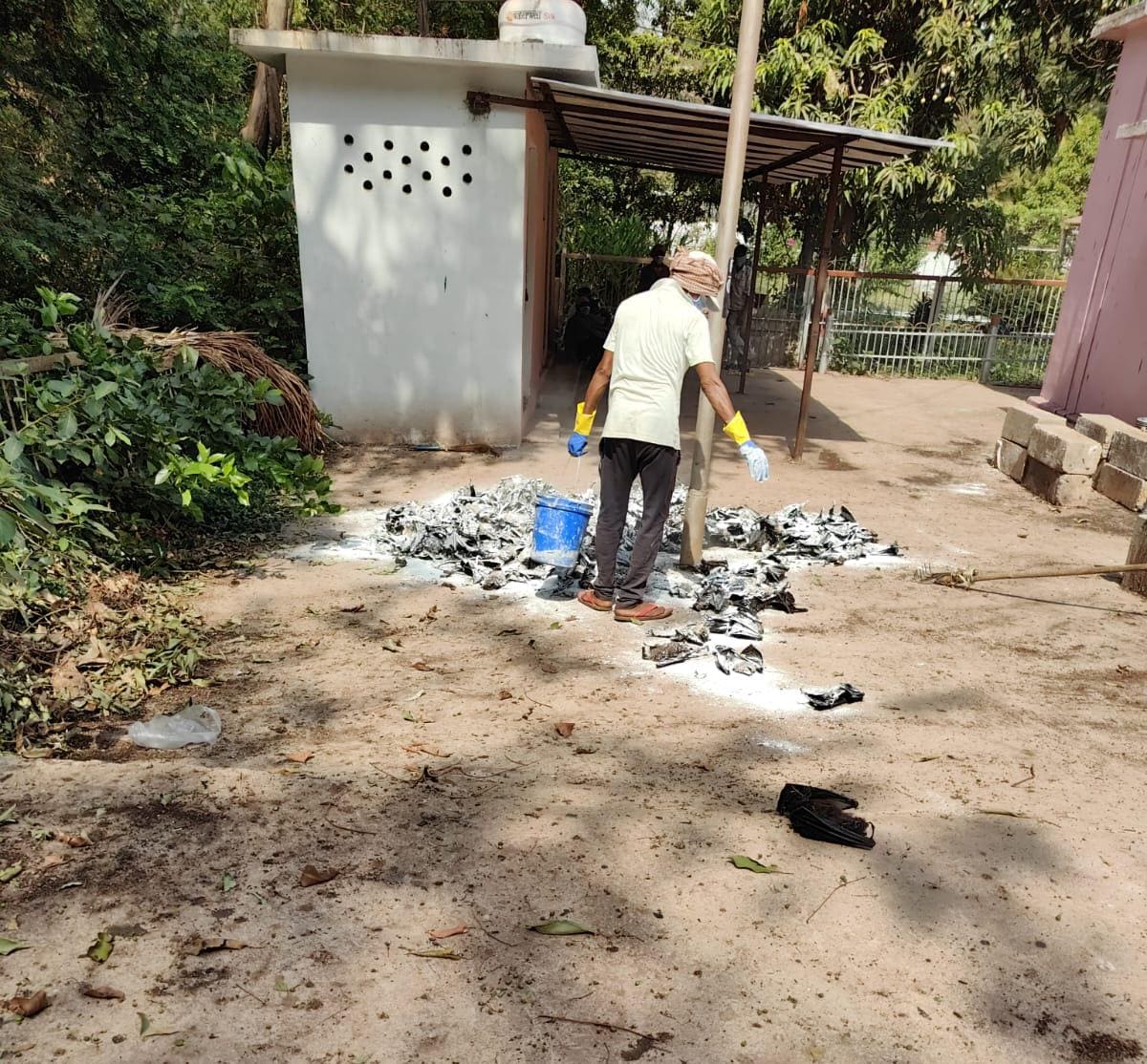 Mystery Bat Deaths: संक्रमण का खतरा
