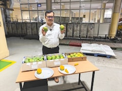 NDTV Goes Inside The Nuclear Facility Providing Indian Mangoes To America