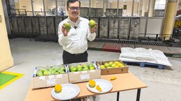 NDTV Goes Inside The Nuclear Facility Providing Indian Mangoes To America