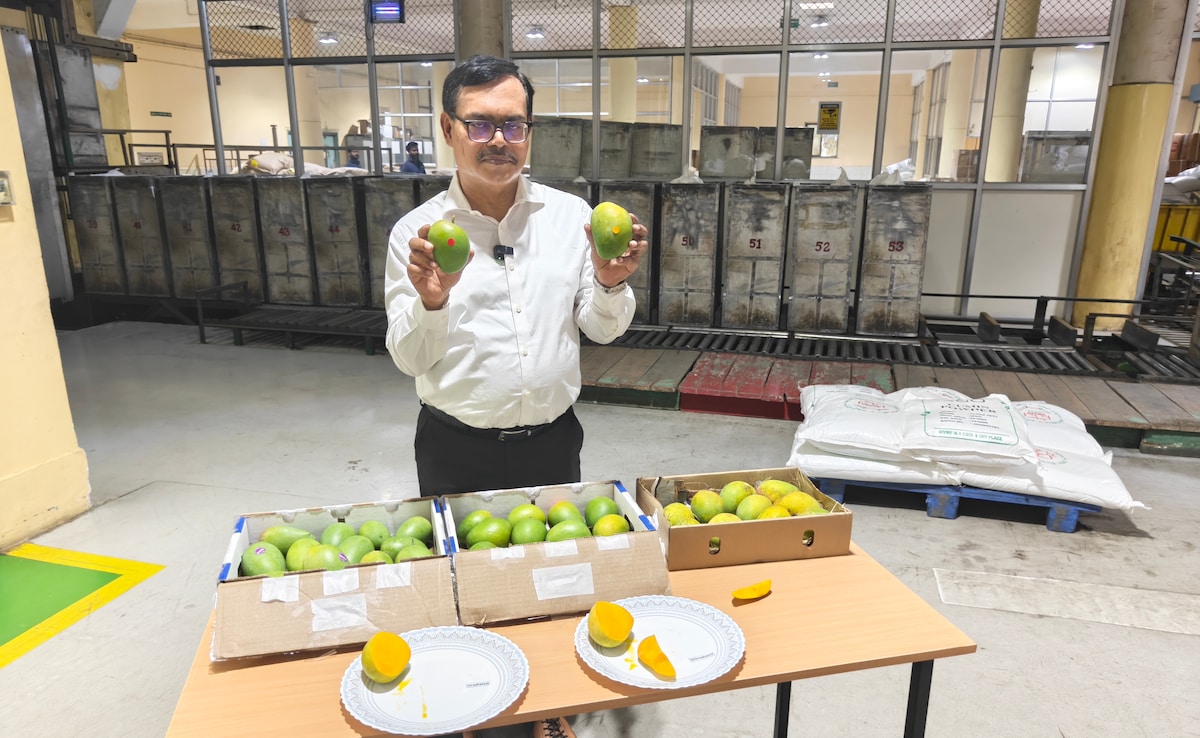 480 रुपए में एक आम और मिनटों में स्टॉक खत्म... गामा रेडिएशन किरणों से गुजरकर कैसे अमेरिका पहुंचता है भारतीय आम