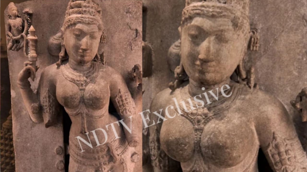 लंदन से धार वापस आएंगी भोजशाला की वाग्देवी ? भोपाल में जुटे BRICS देशों के बीच गूंजी भोजशाला की पुकार