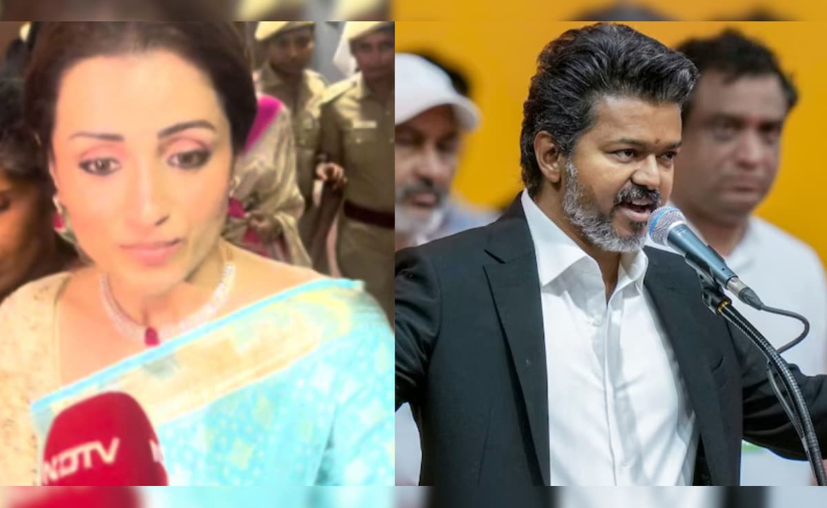 Trisha Krishnan Speaks To NDTV, Shares Joy Over Vijay Becoming Tamil Nadu Chief Minister: "Very Happy"