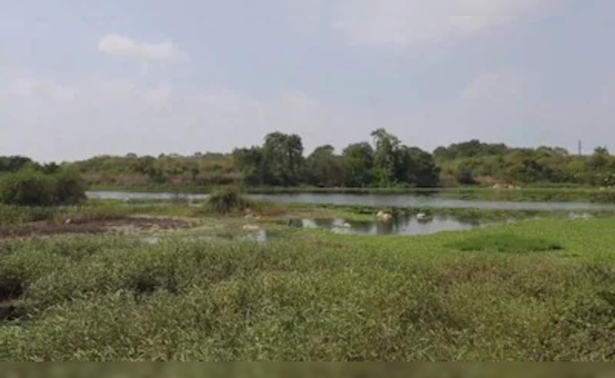 जमीन से जुड़ी जानकारी पाने के लिए नहीं लगाने पड़ेंगे सरकारी दफ्तरों के चक्कर, घर बैठे मोबाइल पर ऐसे पाएं डिटेल