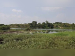 जमीन से जुड़ी जानकारी पाने के लिए नहीं लगाने पड़ेंगे सरकारी दफ्तरों के चक्कर, घर बैठे मोबाइल पर ऐसे पाएं डिटेल