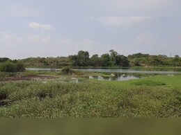 जमीन से जुड़ी जानकारी पाने के लिए नहीं लगाने पड़ेंगे सरकारी दफ्तरों के चक्कर, घर बैठे मोबाइल पर ऐसे पाएं डिटेल