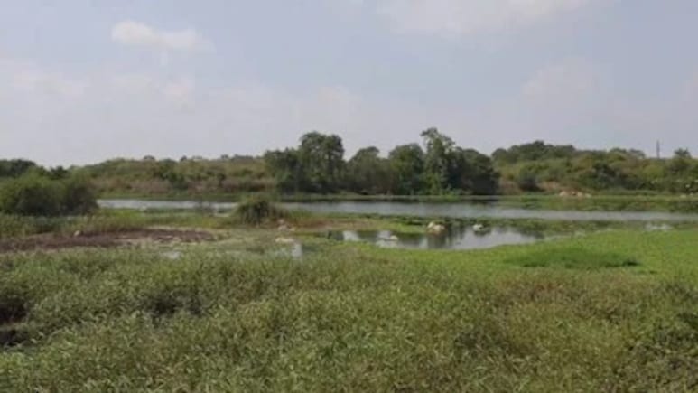 जमीन से जुड़ी जानकारी पाने के लिए नहीं लगाने पड़ेंगे सरकारी दफ्तरों के चक्कर, घर बैठे मोबाइल पर ऐसे पाएं डिटेल
