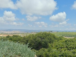 NDTV Ground Report From Israel's Most Active Conflict Zone Near Lebanon Border