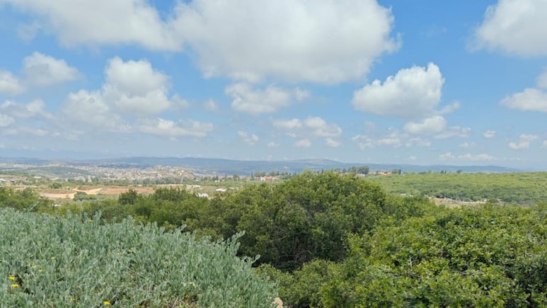 NDTV Ground Report From Israel's Most Active Conflict Zone Near Lebanon Border