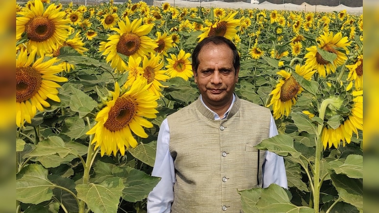 खाद्य तेलों में आत्मनिर्भर क्यों नहीं हो पाया है भारत, किस मिशन पर सरकार कर रही है काम