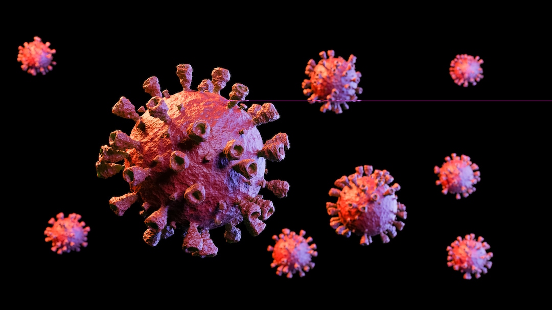 Hantavirus Scare: India Activates Surveillance Measures, Closely Monitoring Situation