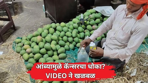 Navi Mumbai APMC VIDEO: सावधान! आंब्यामुळे कॅन्सरचा धोका? वाशी मार्केटमधील 'त्या' स्टिंग ऑपरेशनने खळबळ