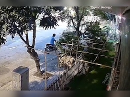 आम तोड़ने गया, लेकिन पूरा पेड़ ही उखाड़ दिया, देखें हैरतअंगेज वीडियो