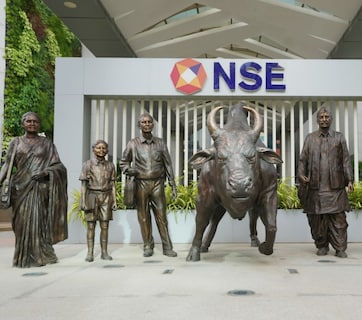 शेअर बाजारात आता भारतीयांचाच बोलबाला! NSE वर गुंतवणूकदारांच्या खात्यांनी ओलांडला 13 कोटींचा टप्पा