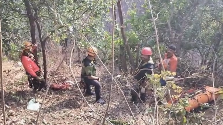 महाबलेश्वर के पास 1500 फीट गहरी खाई में गिरी स्कॉर्पियो, दूरबीन से खोजे गए शव, 8 लोगों की मौत