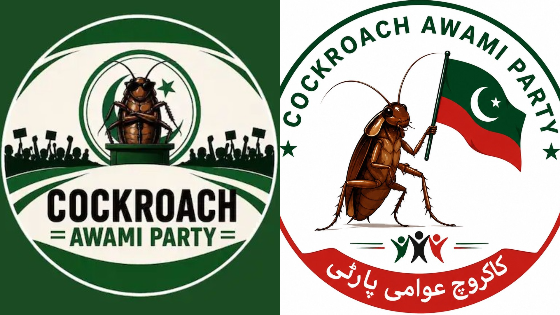 India Started It, Pakistan Caught It: Viral Cockroach Movement Crosses Border