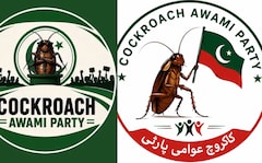 Cockroach Janta Party Crosses Border, Pakistan Now 'Infested'