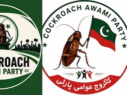 India Started It, Pakistan Caught It: Viral Cockroach Movement Crosses Border