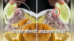 Pune News: पावभाजीमध्ये सापडला जिवंत किडा! हिंजवडीच्या प्रसिद्ध रेस्टॉरंटमधील धक्कादायक प्रकार Video Viral