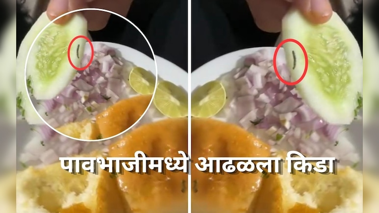 Pune News: पावभाजीमध्ये सापडला जिवंत किडा! हिंजवडीच्या प्रसिद्ध रेस्टॉरंटमधील धक्कादायक प्रकार Video Viral