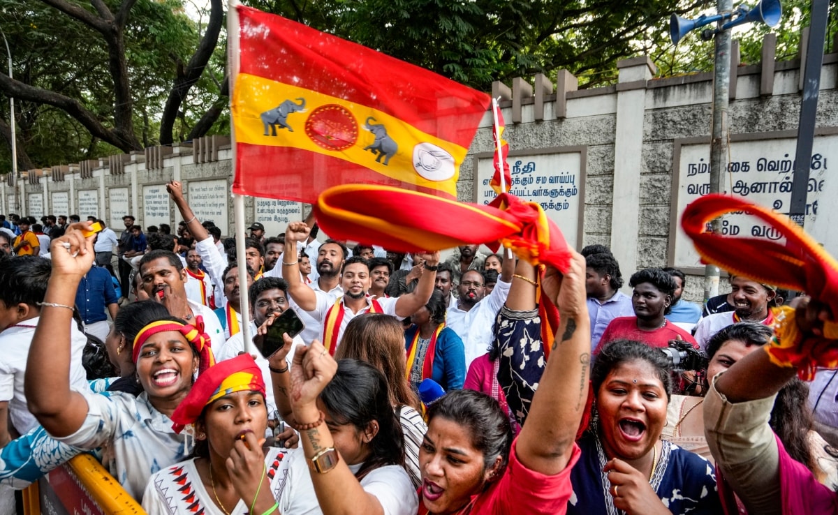 तमिलनाडु विधानसभा चुनाव में मिली शानदार जीत के बाद जश्न मनाते टीवीके के समर्थक.