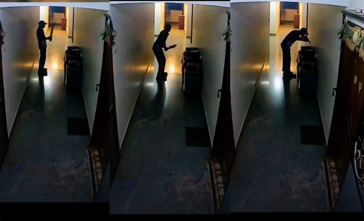 Dreams Vs Reality: Delivery Boy's Video Kissing Bat Wins Hearts