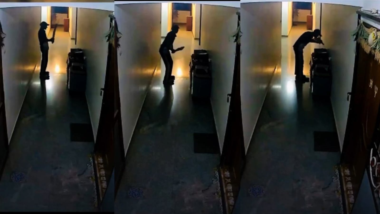 Dreams Vs Reality: Delivery Boy's Video Kissing Bat Wins Hearts