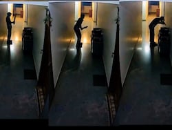 Dreams Vs Reality: Delivery Boy's Video Kissing Bat Wins Hearts