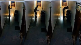 Dreams Vs Reality: Delivery Boy's Video Kissing Bat Wins Hearts