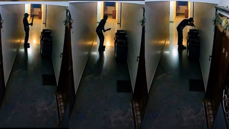 Dreams Vs Reality: Delivery Boy's Video Kissing Bat Wins Hearts