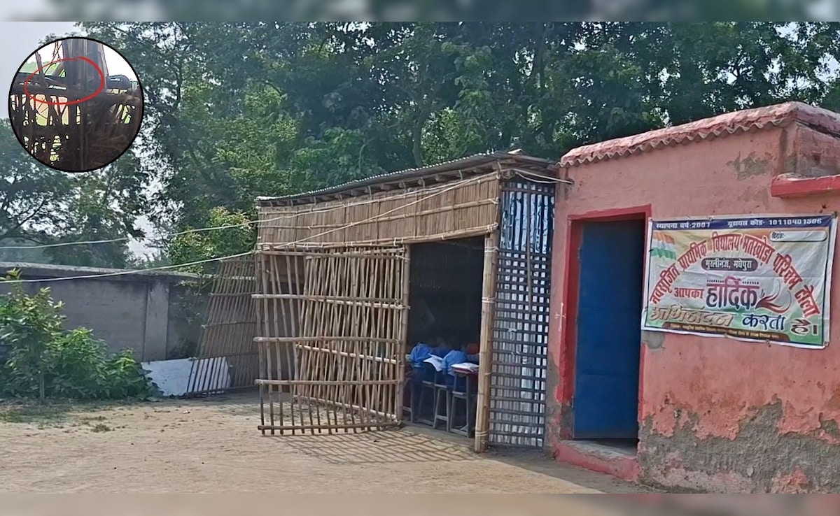 Bihar: मधेपुरा के सरकारी स्कूल के छात्र 19 साल से  कर रहे छत का इंतजार, आंधी के बाद मलबे से निकले जहरीले सांप