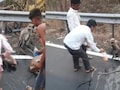 VIDEO : घसा कोरडा पडला अन् माकडाने चक्क एसटीच अडवली; पाण्यासाठी  मुक्या जिवाचा 'हा' आर्त टाहो नक्की पहा