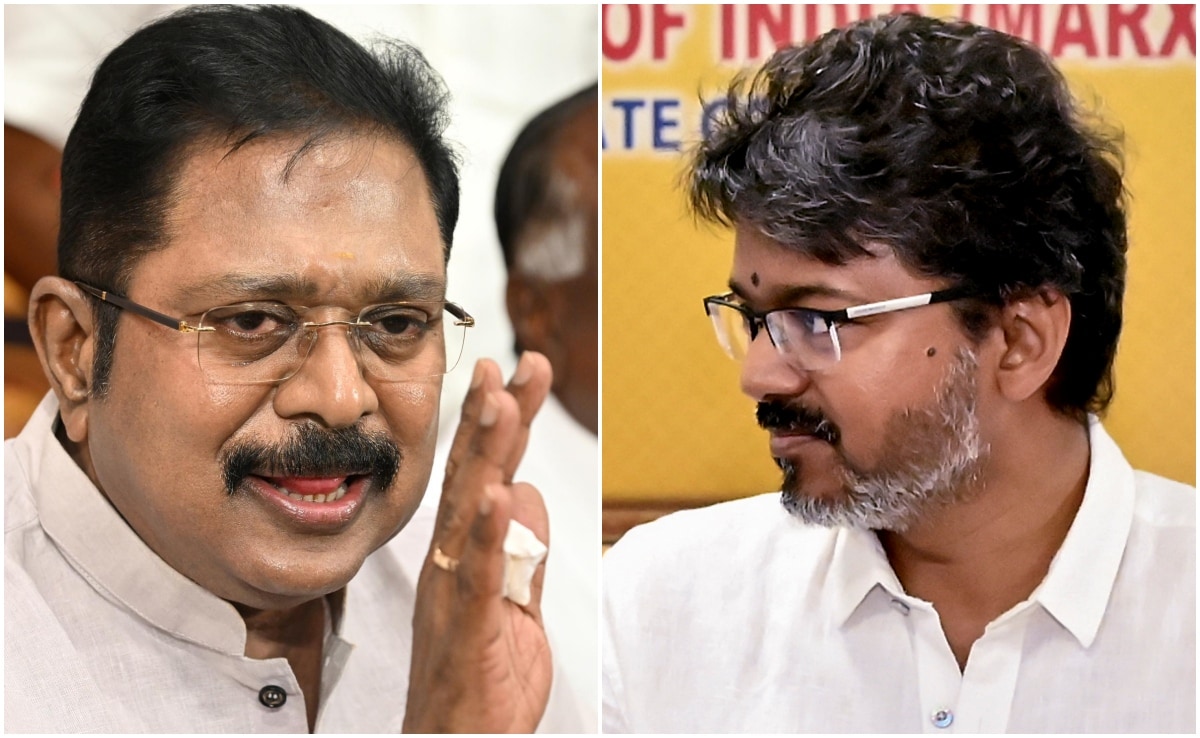 दिनाकरन ने TVK को समर्थन देने से किया इनकार, विजय पर लगाया AMMK के MLA को तोड़ने का आरोप