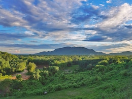 Why Summer Might Be The Most Underrated Season To Visit Assam
