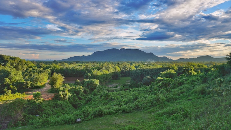Why Summer Might Be The Most Underrated Season To Visit Assam