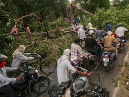 100 Killed As Heavy Rain, Storms Hit Uttar Pradesh; 21 Dead In Prayagraj