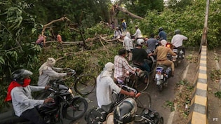 100 Killed As Heavy Rain, Storms Hit Uttar Pradesh; 21 Dead In Prayagraj