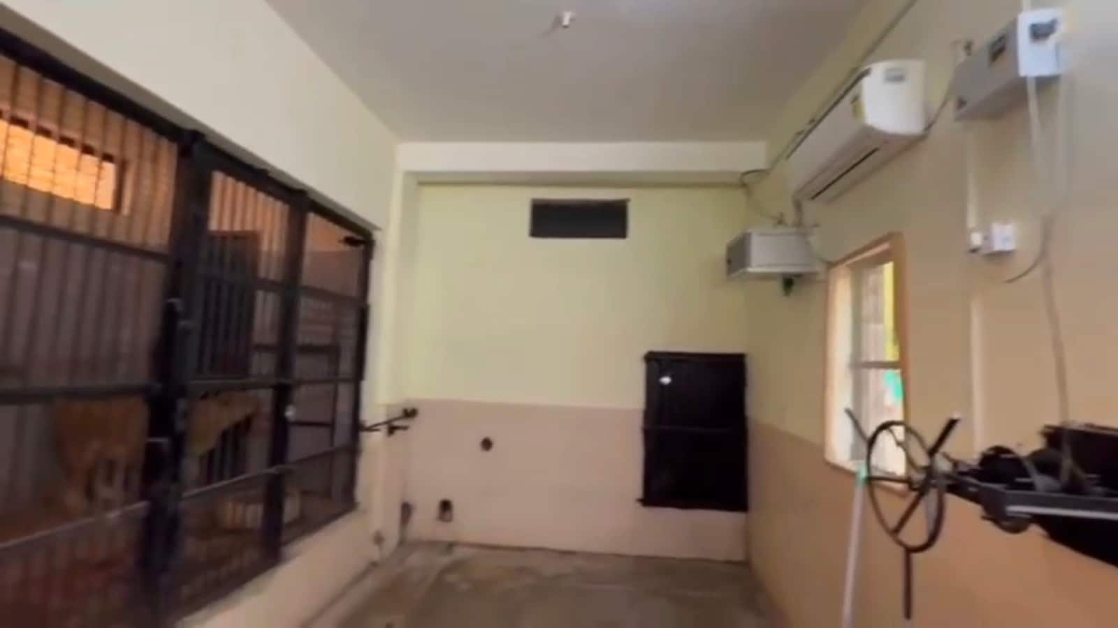 शेरों के लिए AC, भालुओं-लेपर्ड के लिए कूलर, 44 डिग्री तापमान के बीच इटावा सफारी में खास इंतजाम, देखें तस्वीरें