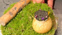 Viral Video: Internet Reacts To 'Caviar Pani Puri' At Two Michelin-Starred Restaurant Alchemist