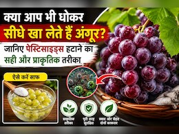 क्या आप भी सिर्फ पानी से धोकर सीधे खा लेते हैं अंगूर? जानिए पेस्टिसाइड्स हटाने का सही और नेचुरल तरीका