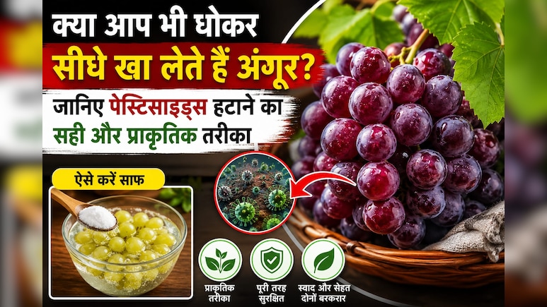 क्या आप भी सिर्फ पानी से धोकर सीधे खा लेते हैं अंगूर? जानिए पेस्टिसाइड्स हटाने का सही और नेचुरल तरीका