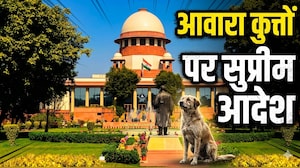 आवारा कुत्तों को लेकर सुप्रीम कोर्ट से आया बड़ा आदेश, डॉग लवर की होगी जिम्मेदारी