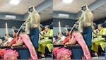 गुजरात यूनिवर्सिटी के हॉल में घुसा बंदर, शिक्षकों की चल रही थी ट्रेनिंग, फिर ऐसा बन गया माहौल