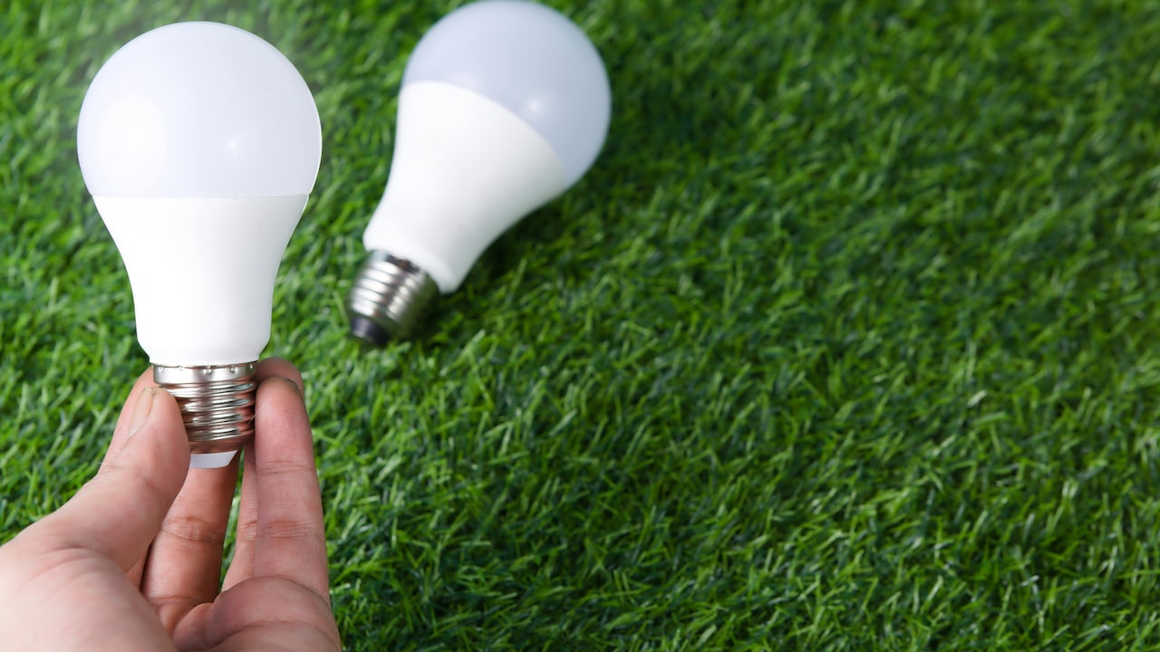 LED bulbs that offer reliable brightness