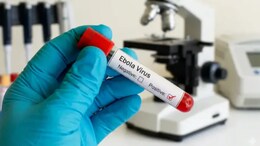 WHO Chief Lands In Congo, Saying Ebola Outbreak 'Can Be Stopped'