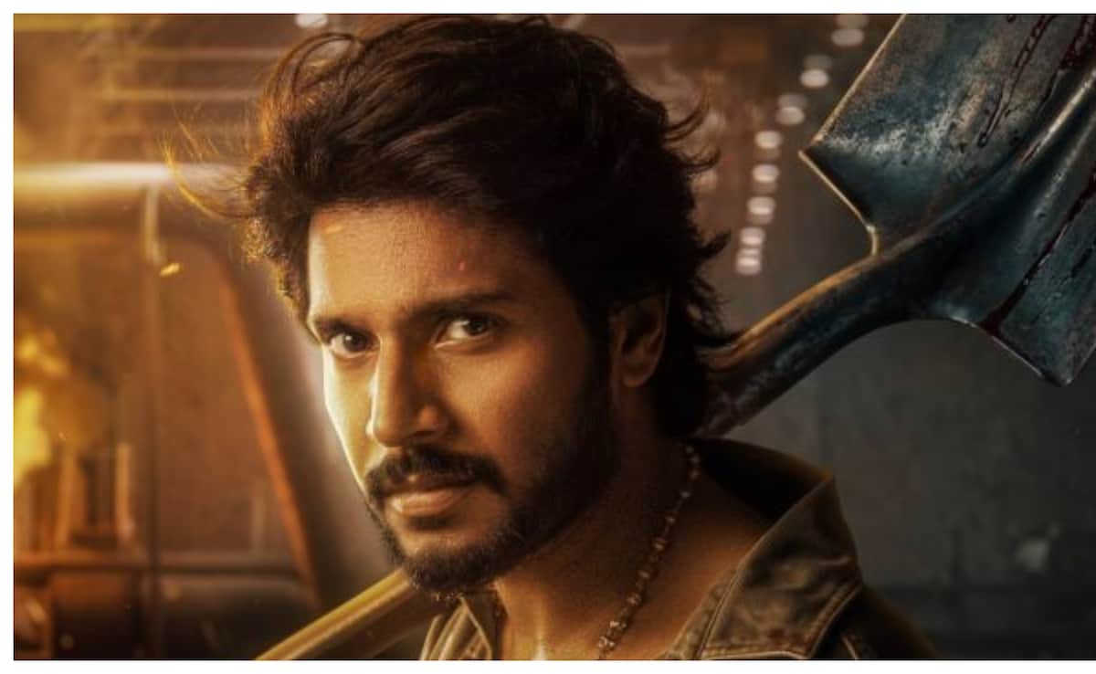 Thalapathy Vijay's Son Jason Sanjay To Make Directorial Debut With 'Sigma', Check  Release Date