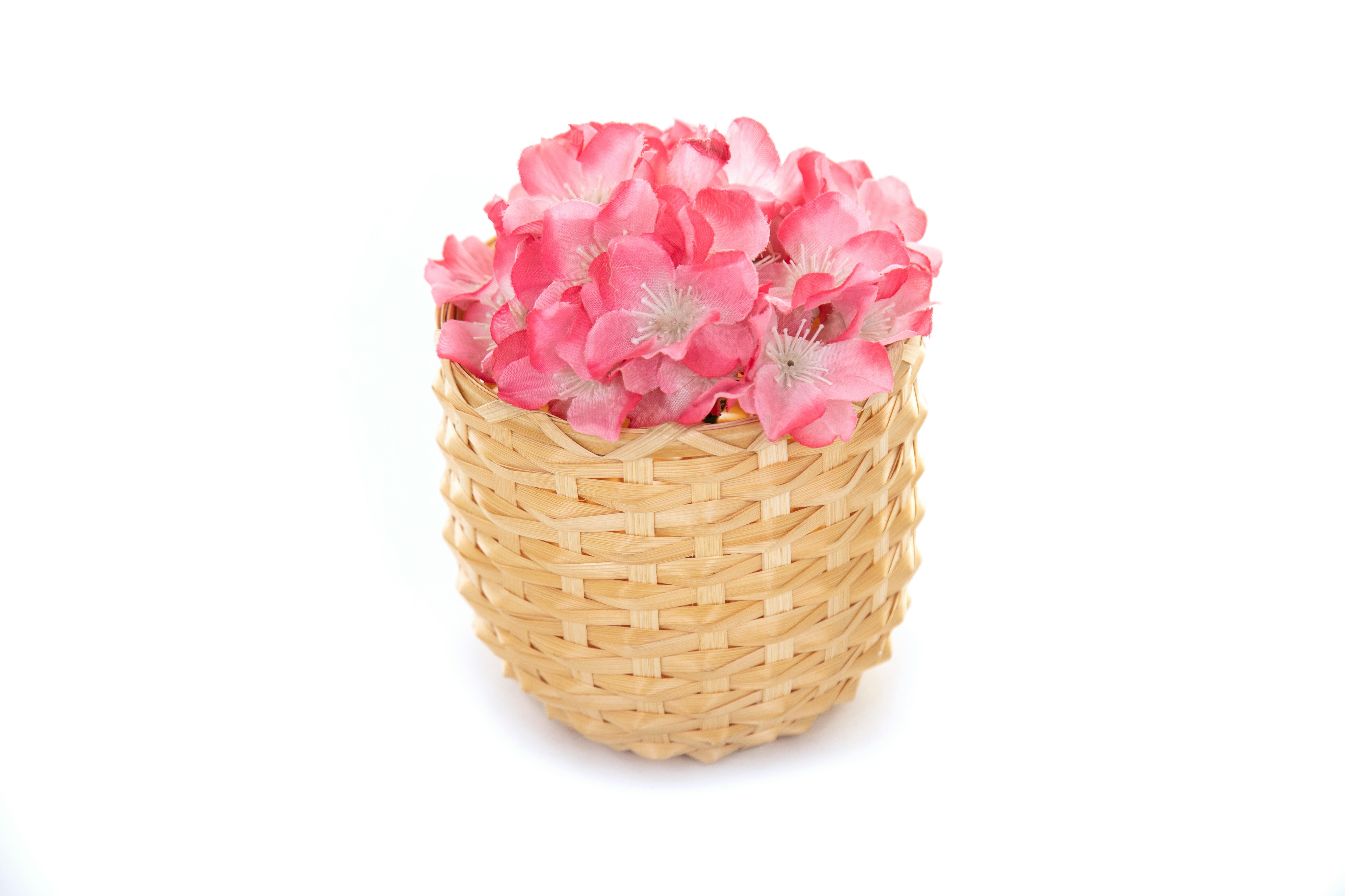 Shopsy SASA LELE Sale: Artificial Flowers And Plants Starting At Just ₹59